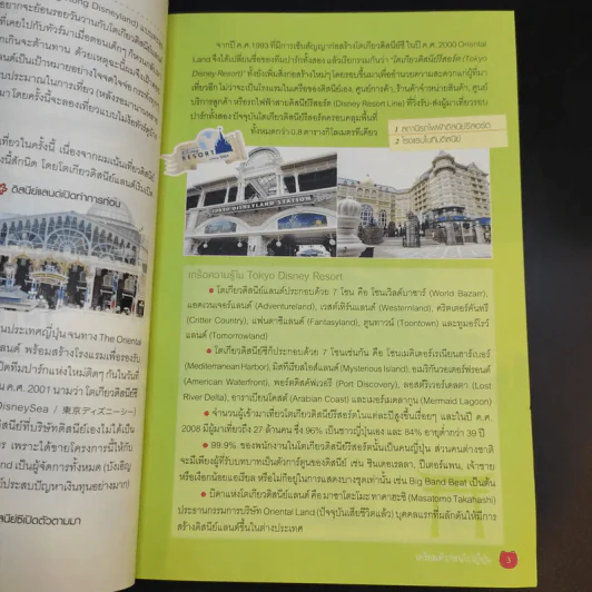 เที่ยวไม่ง้อทัวร์ ตีตั๋วตะลุย โตเกียว + ดิสนีย์แลนด์และดิสนีย์ซี รูปที่ 11