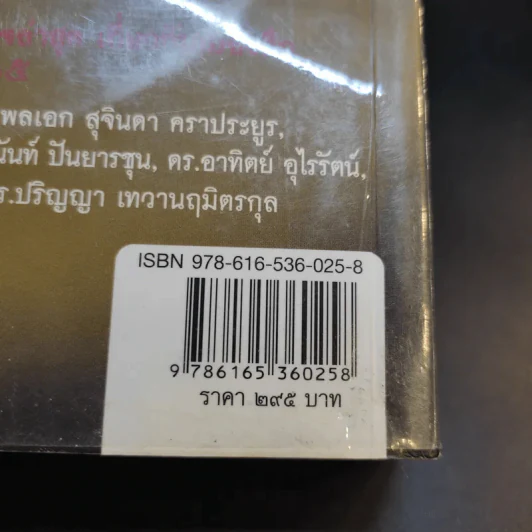 ประชาธิปไตยเปื้อนเลือด - รุ่งมณี เมฆโสภณ รูปที่ 14