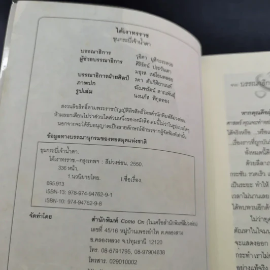 ใต้เงาทรราช - ขุนกระบี่เจ้าน้ำตา รูปที่ 8