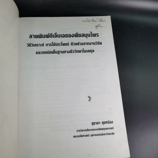 ลายพิมพ์ดีเอ็นเอของพืชสมุนไพร - สุชาดา สุขหร่อง รูปที่ 8