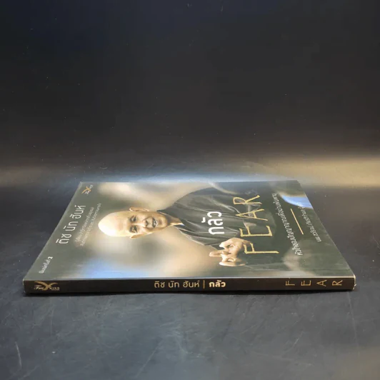 กลัว Fear - ติช นัท ฮันห์ รูปที่ 3