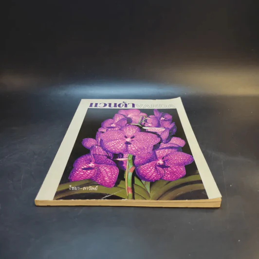แวนด้า Vanda - ไชยา-ลาวัลย์ รูปที่ 4