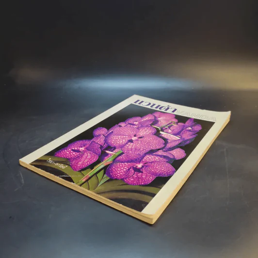 แวนด้า Vanda - ไชยา-ลาวัลย์ รูปที่ 7