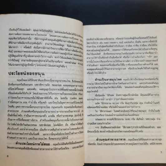 การปลูกขนุน - ศักดิ์สิทธิ์ ศรีวิชัย รูปที่ 11