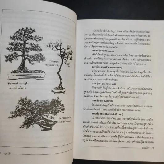 บอนไซ Bonsai - ชาง ตันสกุล รูปที่ 11
