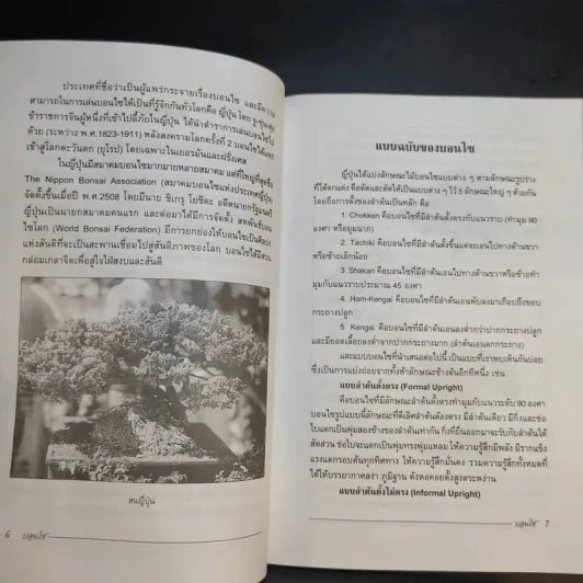 บอนไซ Bonsai - ชาง ตันสกุล รูปที่ 10