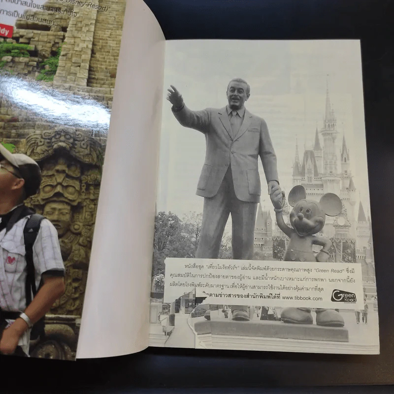 เที่ยวไม่ง้อทัวร์ ตีตั๋วตะลุย โตเกียว + ดิสนีย์แลนด์และดิสนีย์ซี รูปที่ 5