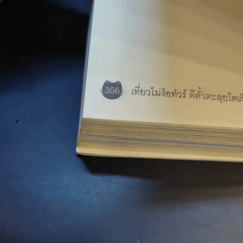 เที่ยวไม่ง้อทัวร์ ตีตั๋วตะลุย โตเกียว + ดิสนีย์แลนด์และดิสนีย์ซี รูปที่ 14