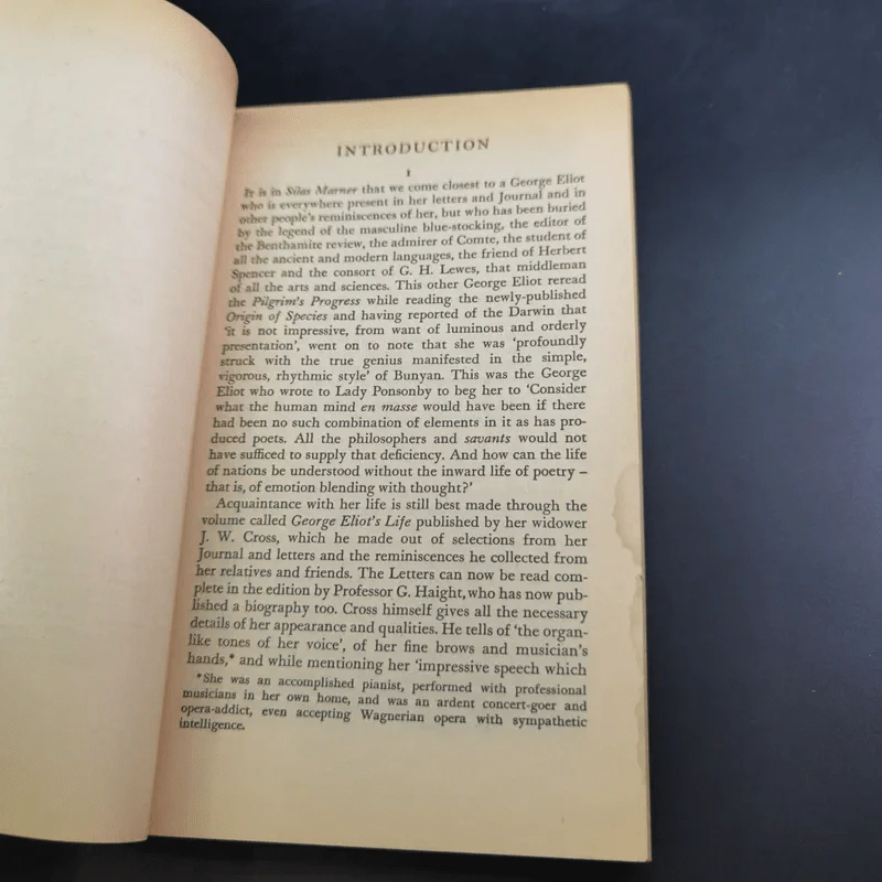 Silas Marner - George Eliot รูปที่ 10