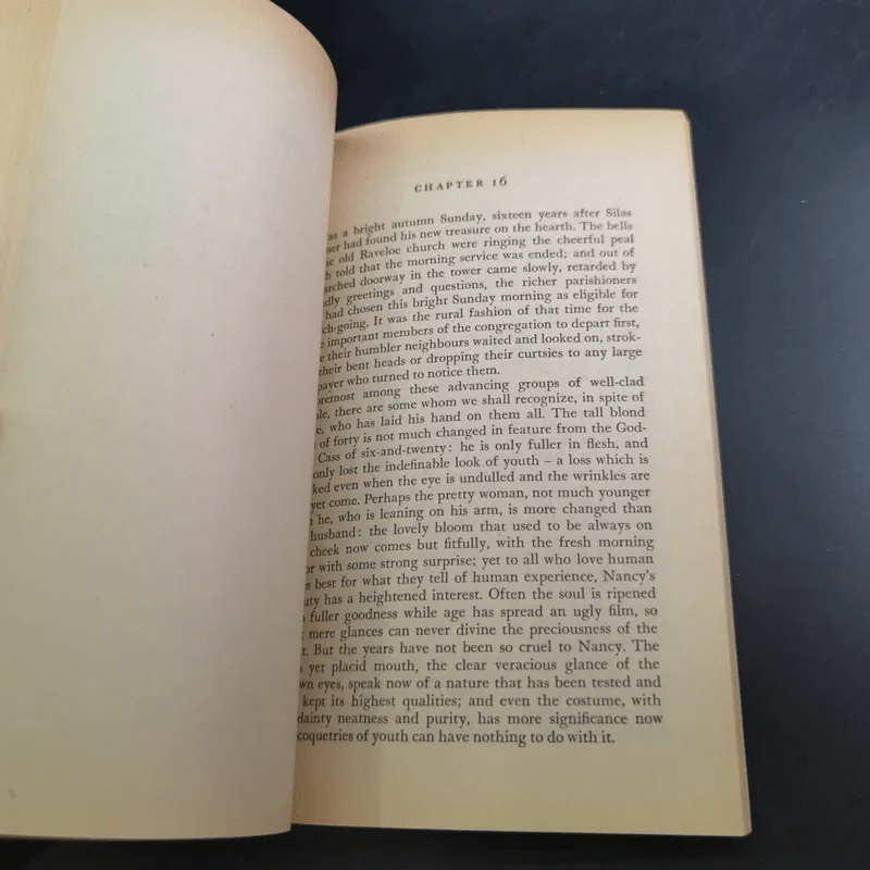 Silas Marner - George Eliot รูปที่ 12
