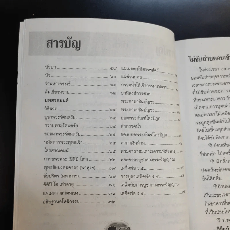 บทสวดมนต์ไหว้พระ เคล็ดวิธี กินอย่างไร-ไร้โรคภัย รูปที่ 9