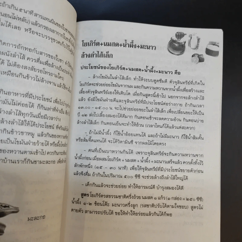 บทสวดมนต์ไหว้พระ เคล็ดวิธี กินอย่างไร-ไร้โรคภัย รูปที่ 12