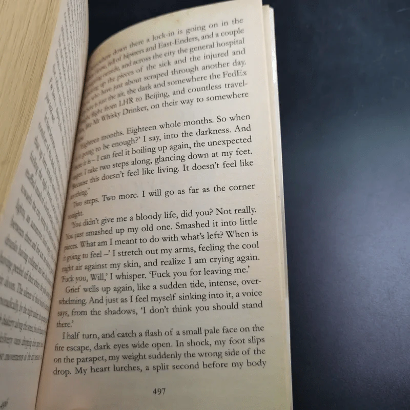 Me Before You - Jojo Moyes รูปที่ 12