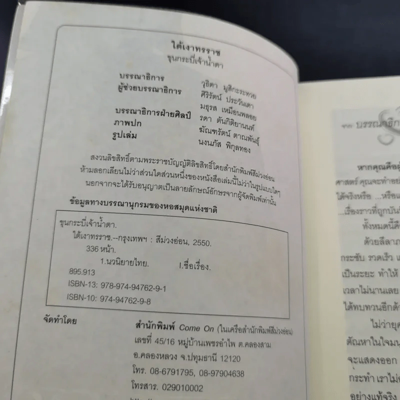 ใต้เงาทรราช - ขุนกระบี่เจ้าน้ำตา รูปที่ 8