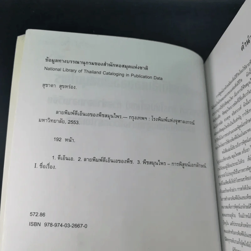 ลายพิมพ์ดีเอ็นเอของพืชสมุนไพร - สุชาดา สุขหร่อง รูปที่ 9