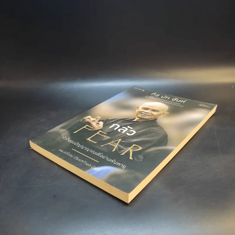 กลัว Fear - ติช นัท ฮันห์ รูปที่ 7