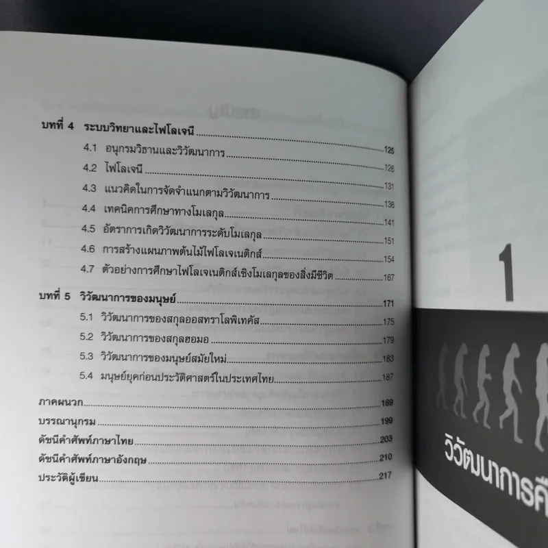วิวัฒนาการ Evolution - เจษฎา เด่นดวงบริพันธ์ รูปที่ 12