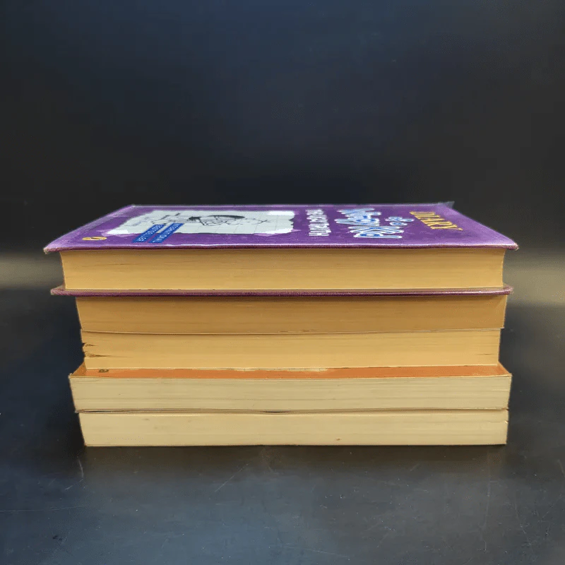 Diary of a Wimpy Kid 5 Books รูปที่ 4