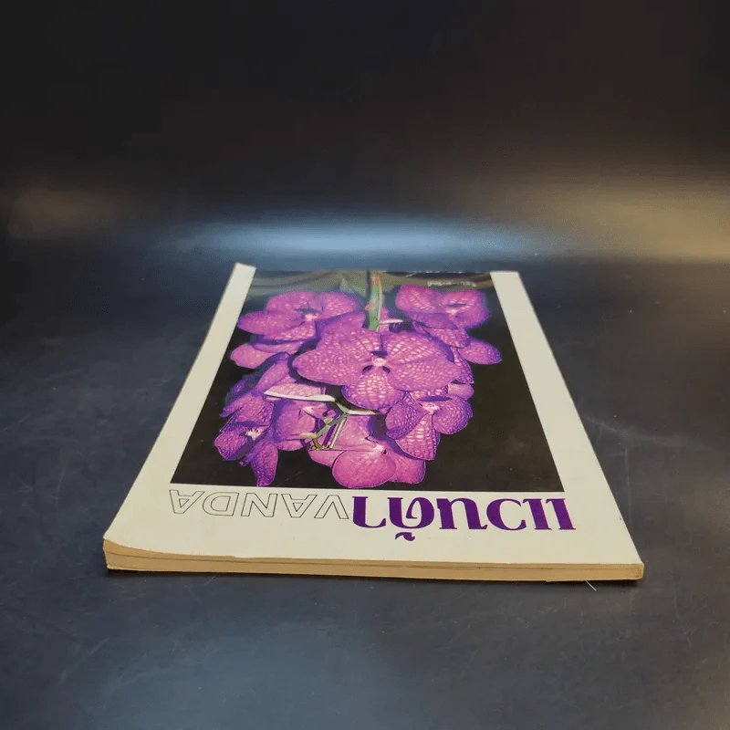 แวนด้า Vanda - ไชยา-ลาวัลย์ รูปที่ 6