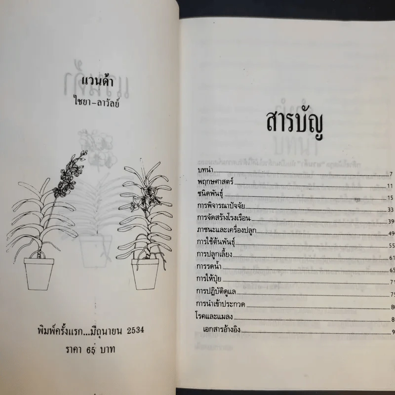 แวนด้า Vanda - ไชยา-ลาวัลย์ รูปที่ 8