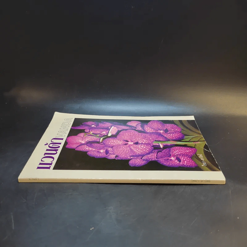 แวนด้า Vanda - ไชยา-ลาวัลย์ รูปที่ 3