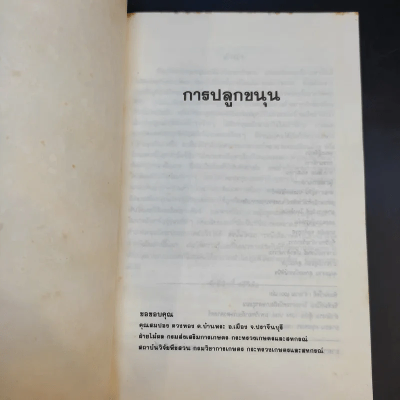 การปลูกขนุน - ศักดิ์สิทธิ์ ศรีวิชัย รูปที่ 8