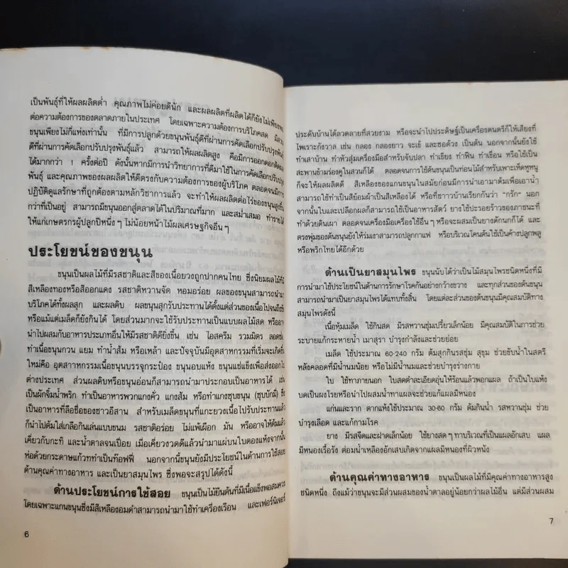 การปลูกขนุน - ศักดิ์สิทธิ์ ศรีวิชัย รูปที่ 11