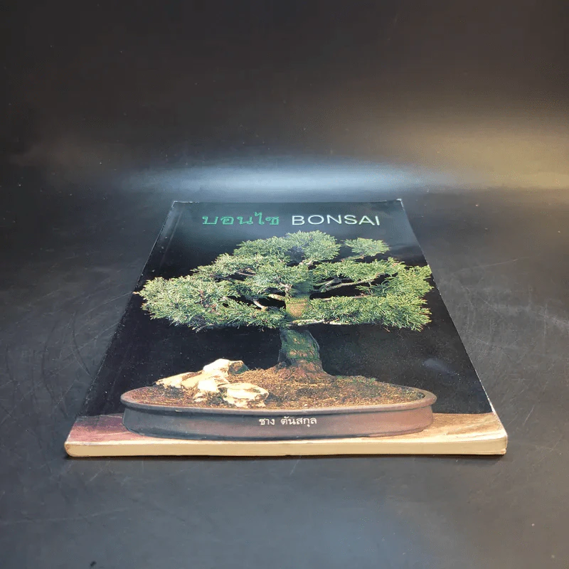 บอนไซ Bonsai - ชาง ตันสกุล รูปที่ 4