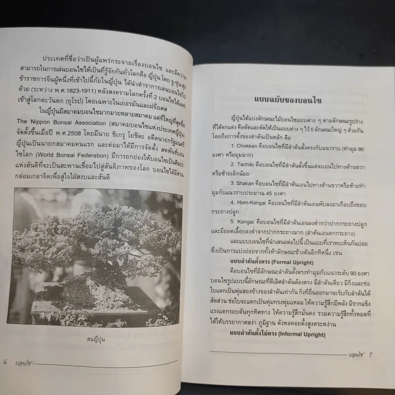บอนไซ Bonsai - ชาง ตันสกุล รูปที่ 10