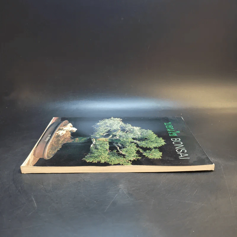 บอนไซ Bonsai - ชาง ตันสกุล รูปที่ 5