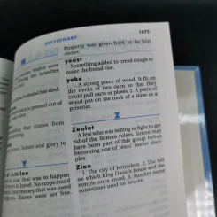 Kids' Quest Study Bible รูปที่ 12
