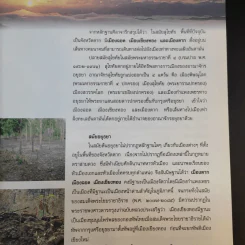 ตาก สุดประจิมที่ริมเมย รูปที่ 10