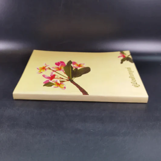 คู่มือดับทุกข์ หนังสือธรรมะ รูปที่ 3