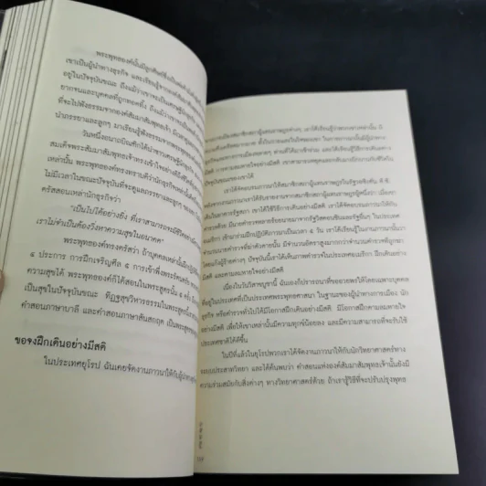 กลับบ้านที่แท้จริง กับ ติช นัท ฮันห์ รูปที่ 13