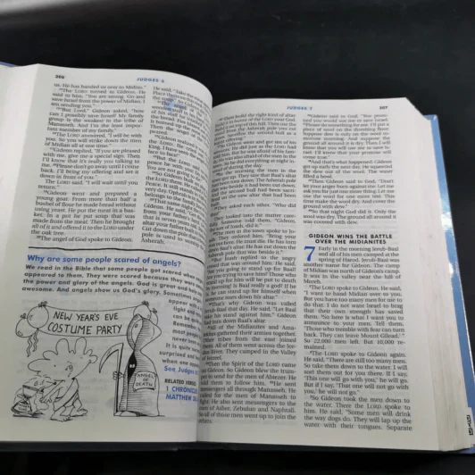 Kids' Quest Study Bible รูปที่ 10