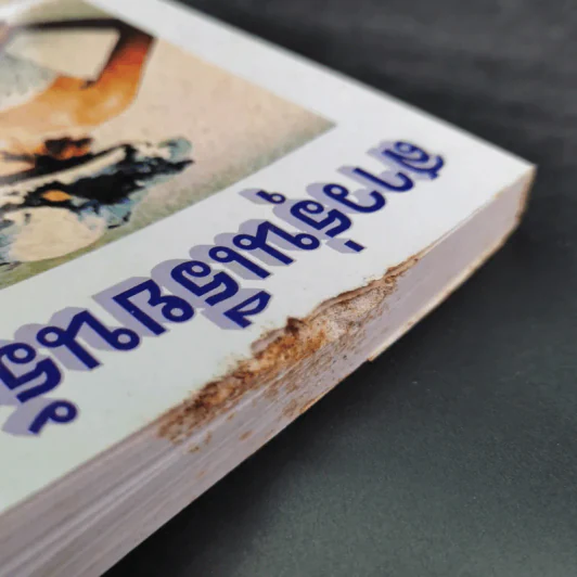 สาวรุ่นเรียนรัก - จามรี พรรณชมพู รูปที่ 7