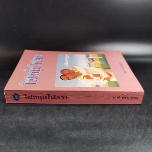 ไฟหนุ่มไฟสาว - จามรี พรรณชมพู รูปที่ 3