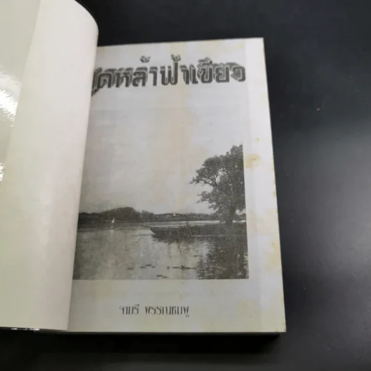 สุดหล้าฟ้าเขียว - จามรี พรรณชมพู รูปที่ 7