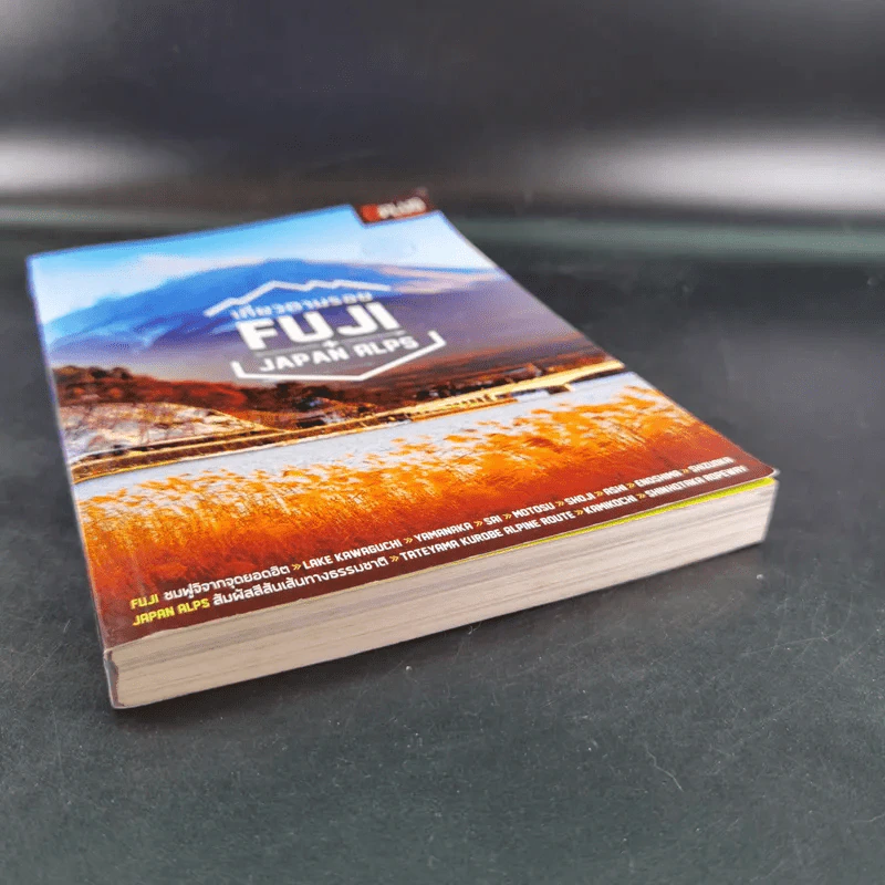 เที่ยวตามรอย Fuji + Japan Alps รูปที่ 5