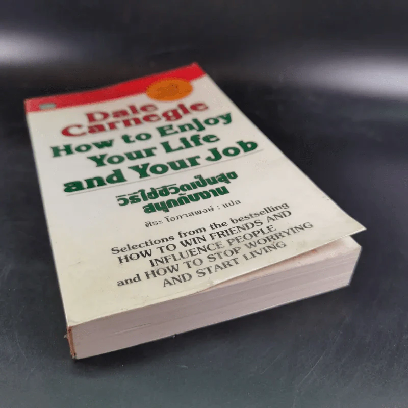 How to Enjoy Your Life and Your Job วิธีใช้ชีวิตเป็นสุข สนุกกับงาน - Dale Carnegie รูปที่ 4
