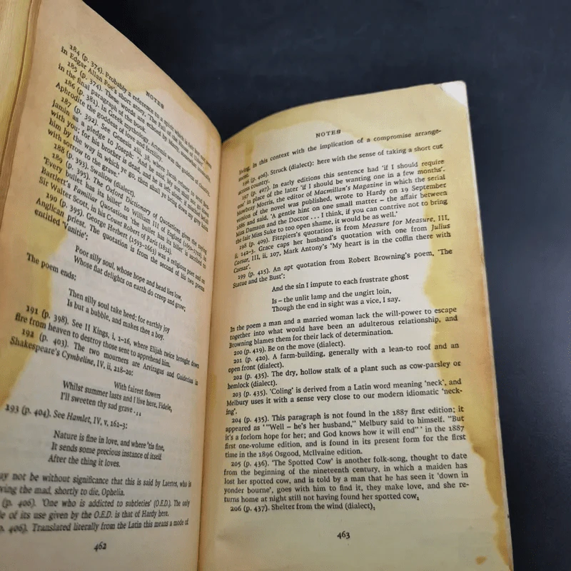 The Woodlanders - Thomas Hardy รูปที่ 11