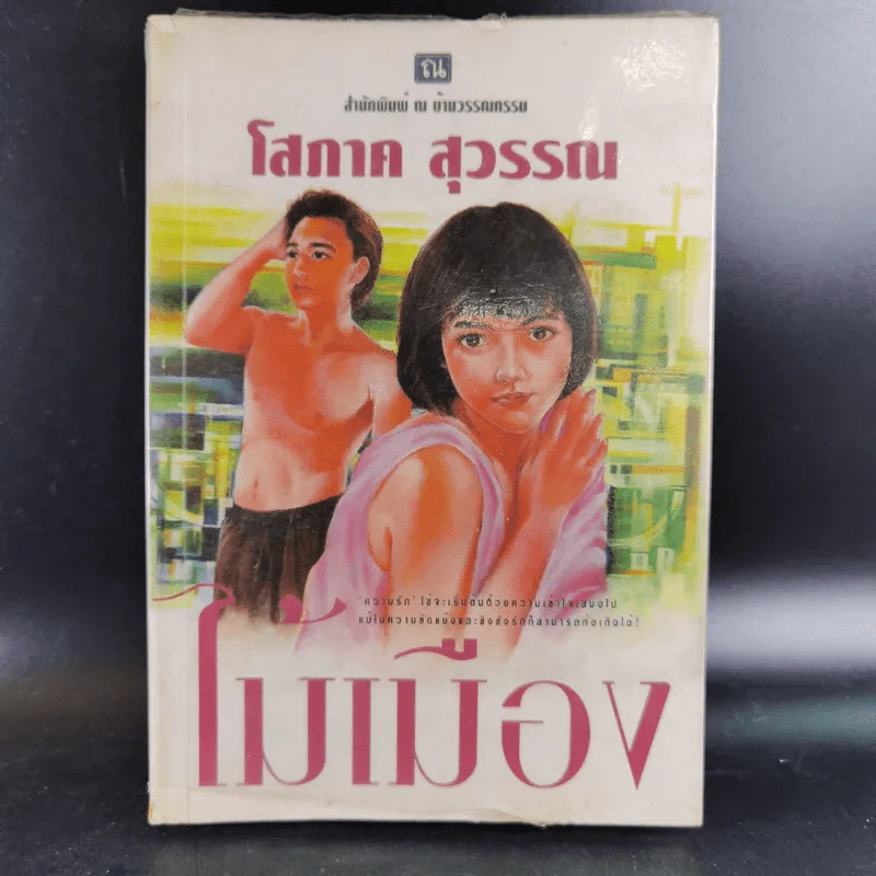 ไม้เมือง เล่ม 1 - โสภาค สุวรรณ รูปที่ 1