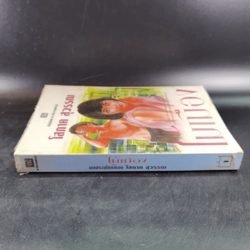 ไม้เมือง เล่ม 1 - โสภาค สุวรรณ รูปที่ 3