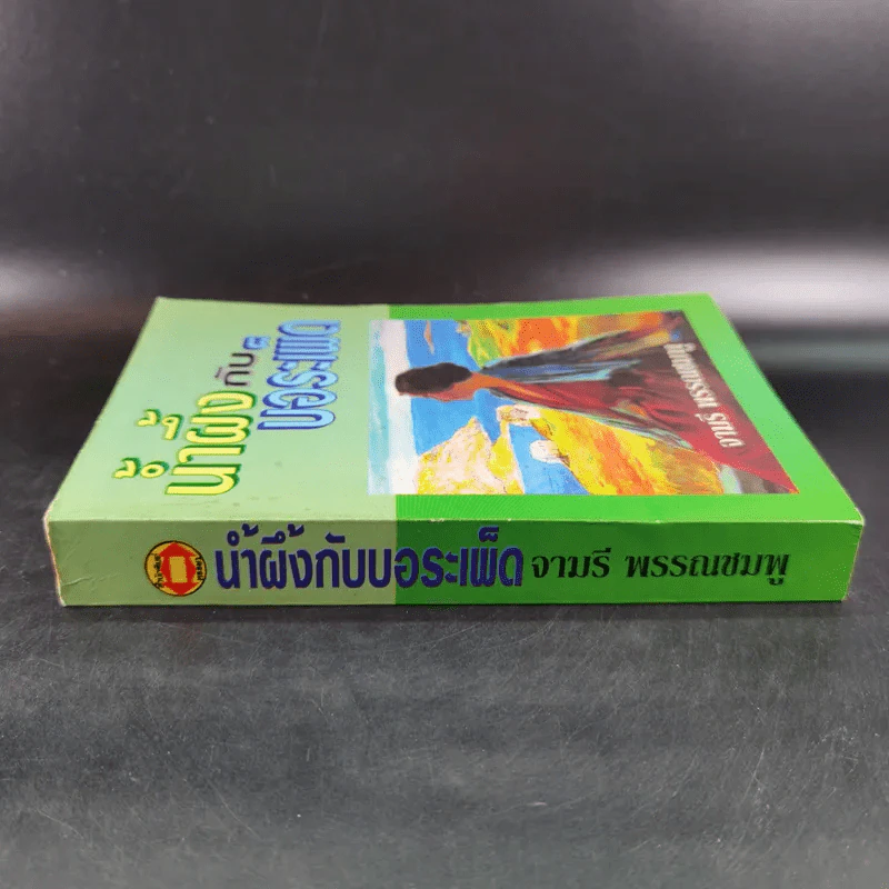 น้ำผึ้งกับบอระเพ็ด - จามรี พรรณชมพู รูปที่ 3