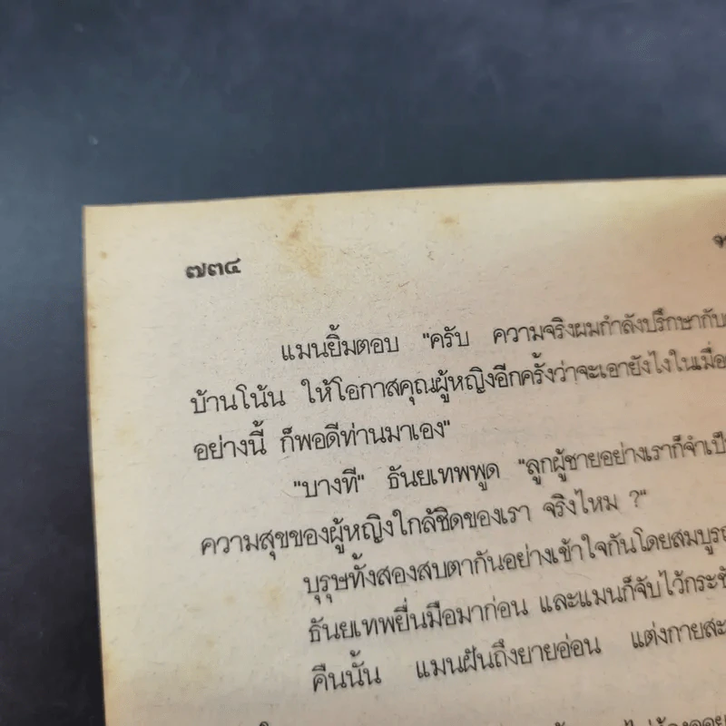 ตุ๊กตาเจียระไน - จามรี พรรณชมพู รูปที่ 11