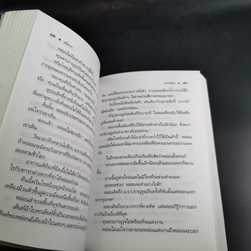 มณีมาลา - พราวพัชระ รูปที่ 10