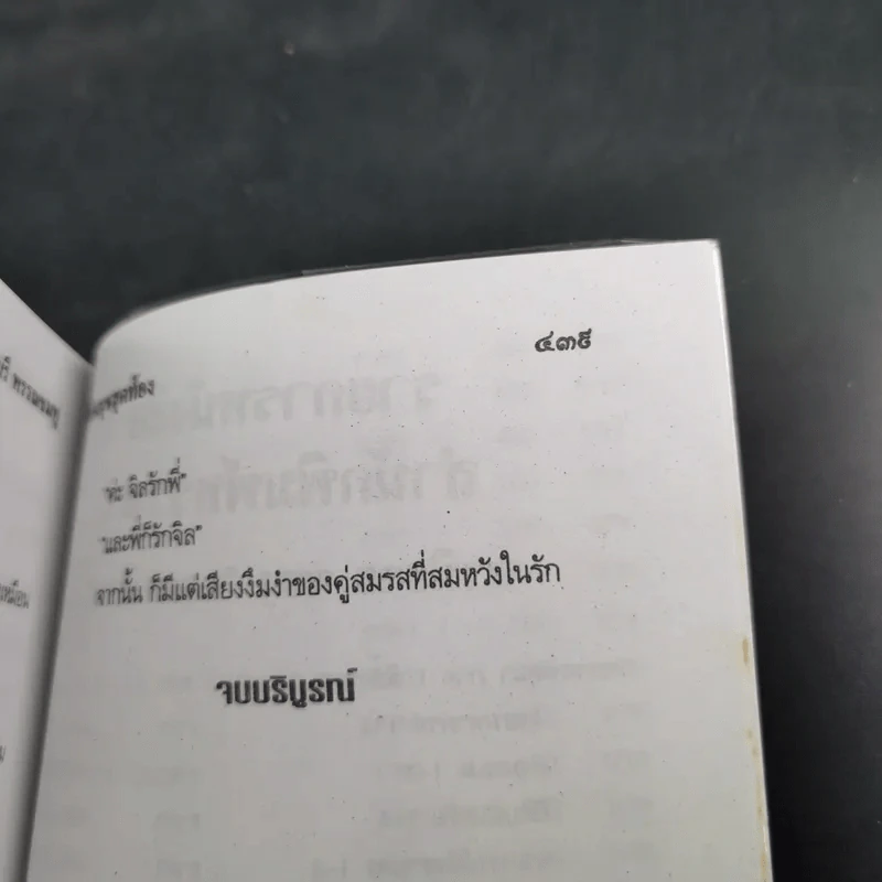 ห้องนุชสุดท้อง - จามรี พรรณชมพู รูปที่ 10