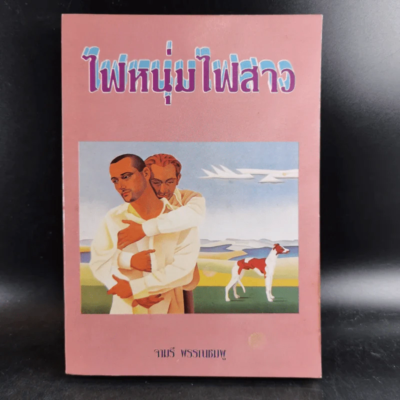 ไฟหนุ่มไฟสาว - จามรี พรรณชมพู รูปที่ 1