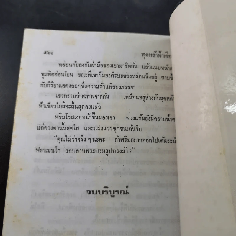 สุดหล้าฟ้าเขียว - จามรี พรรณชมพู รูปที่ 10