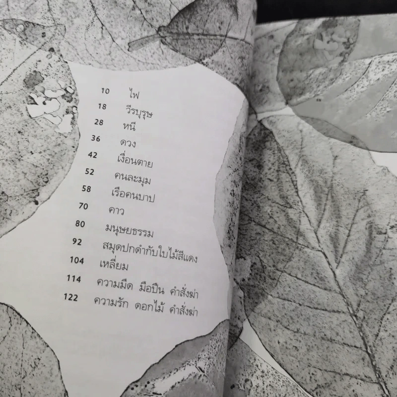 สมุดปกดำกับใบไม้สีแดง - วินทร์ เลียววาริณ รูปที่ 10